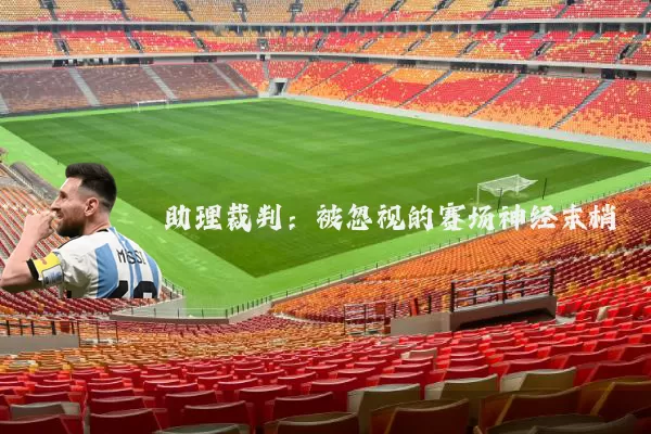 助理裁判：被忽视的赛场神经末梢
