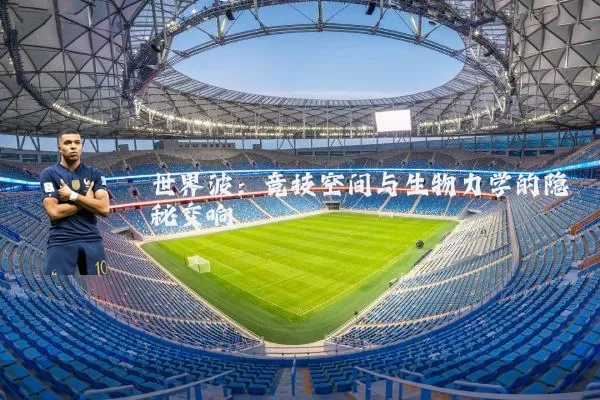 世界波：竞技空间与生物力学的隐秘交响